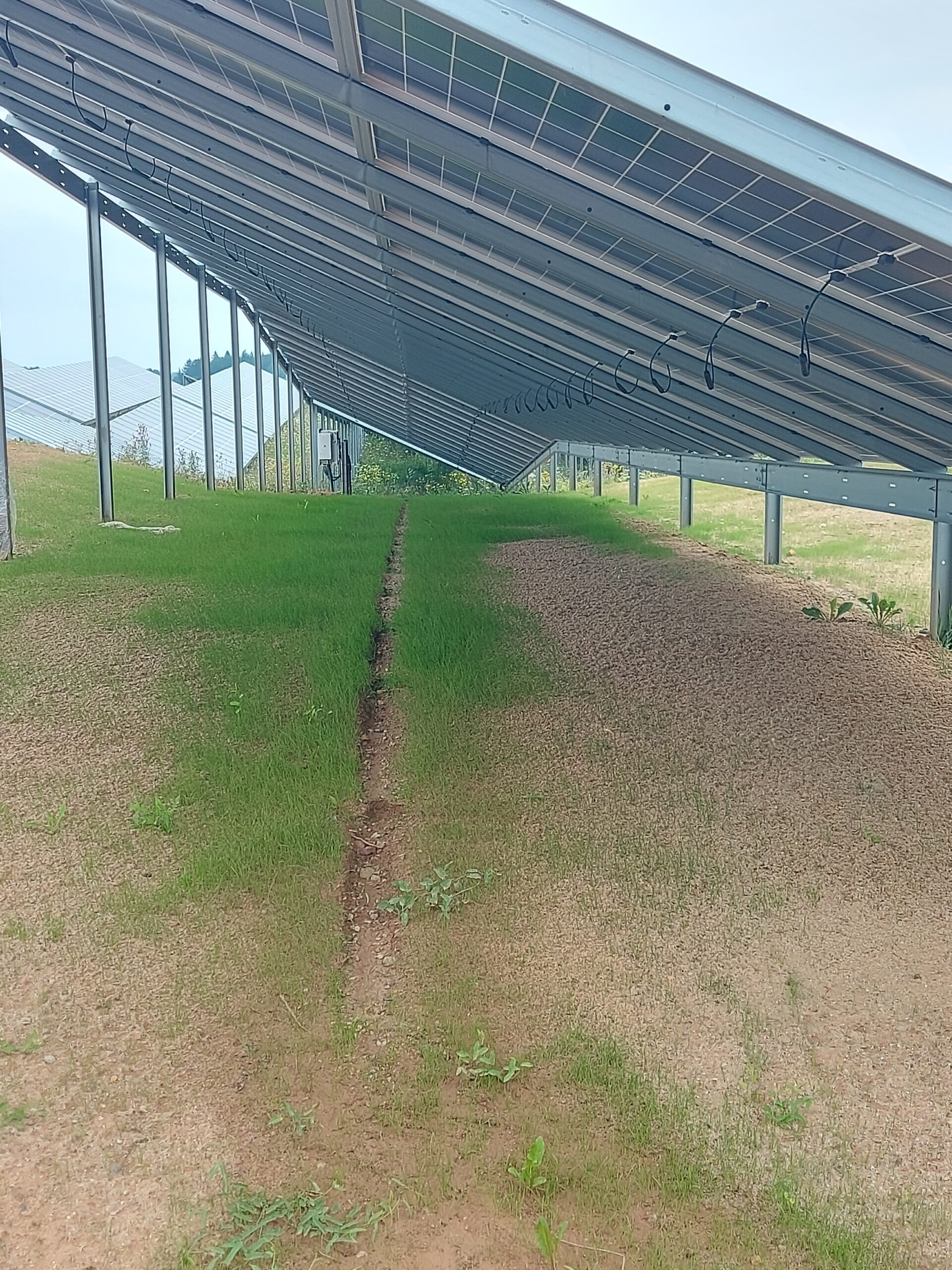 Soil Erosion Example 1